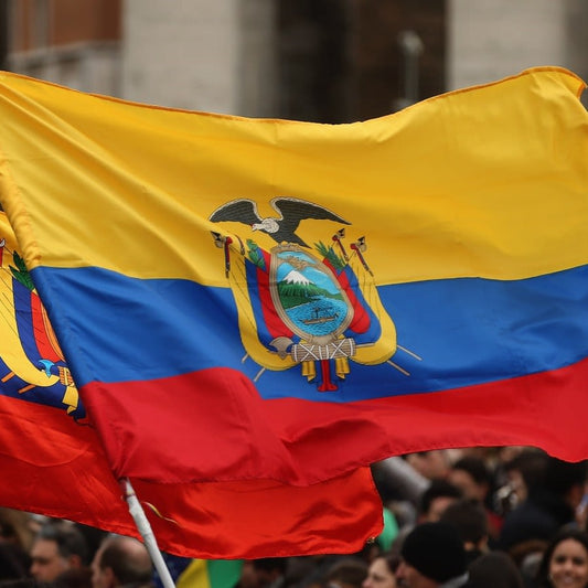 Pasaje Desde Ecuador